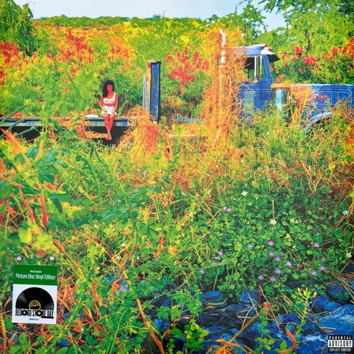 Jhene aiko trip 2lp - 2lp, picture