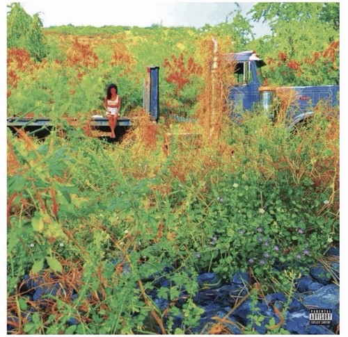 Jhene aiko trip usa 2lp - trip,